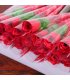 GC190 - Single rose flower color paper